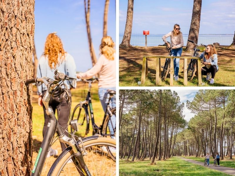 Une balade à vélo pendant Noël à Biscarrosse