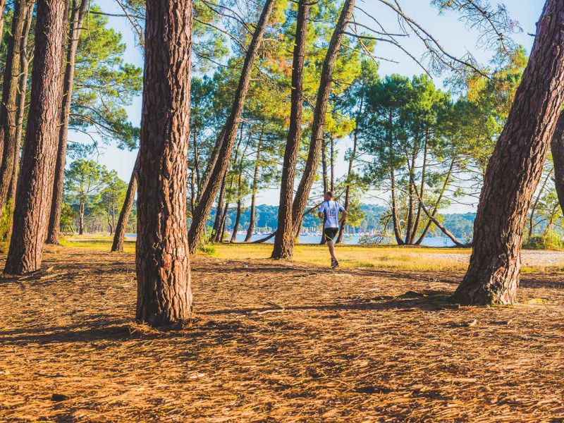 Course à pied dans les Landes