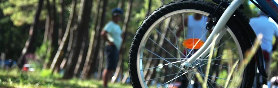 Balade à vélo