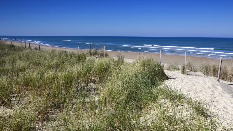 Plage et océan à Biscarrosse