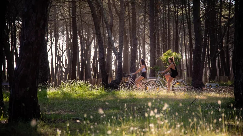 balade vélo dans les landes