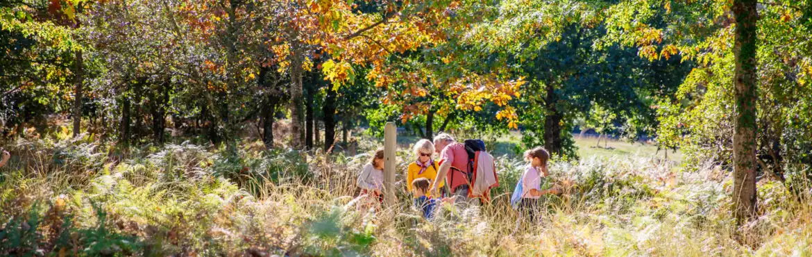 Notre top des activités à faire en automne à Bisca Grands Lacs