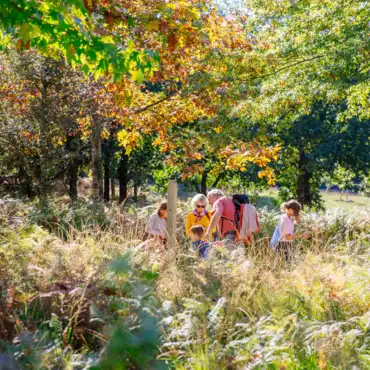 Notre top des activités à faire en automne à Bisca Grands Lacs