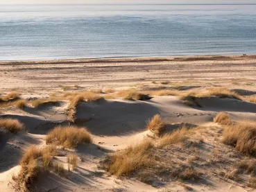 plage et paleosol