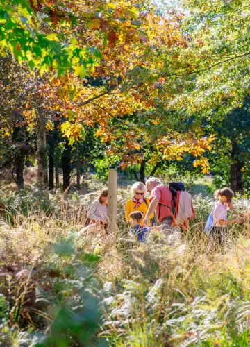 activites-a-faire-en-automne-biscarrosse-grands-lacs-landes.png