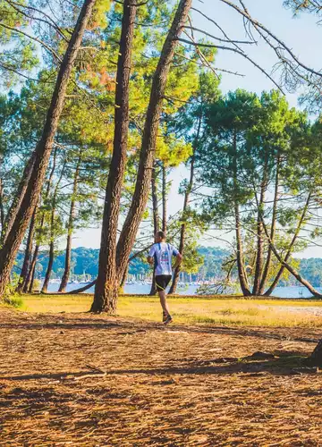 parcours-running-landes.jpg