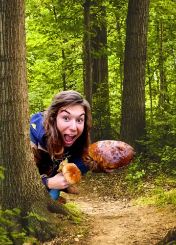 Nos 5 meilleurs spots à champignons à Bisca Grands Lacs