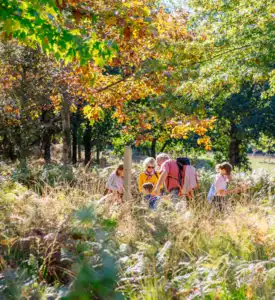 Notre top des activités à faire en automne à Bisca Grands Lacs