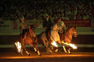 spectacle-chevaux-landes-emotions